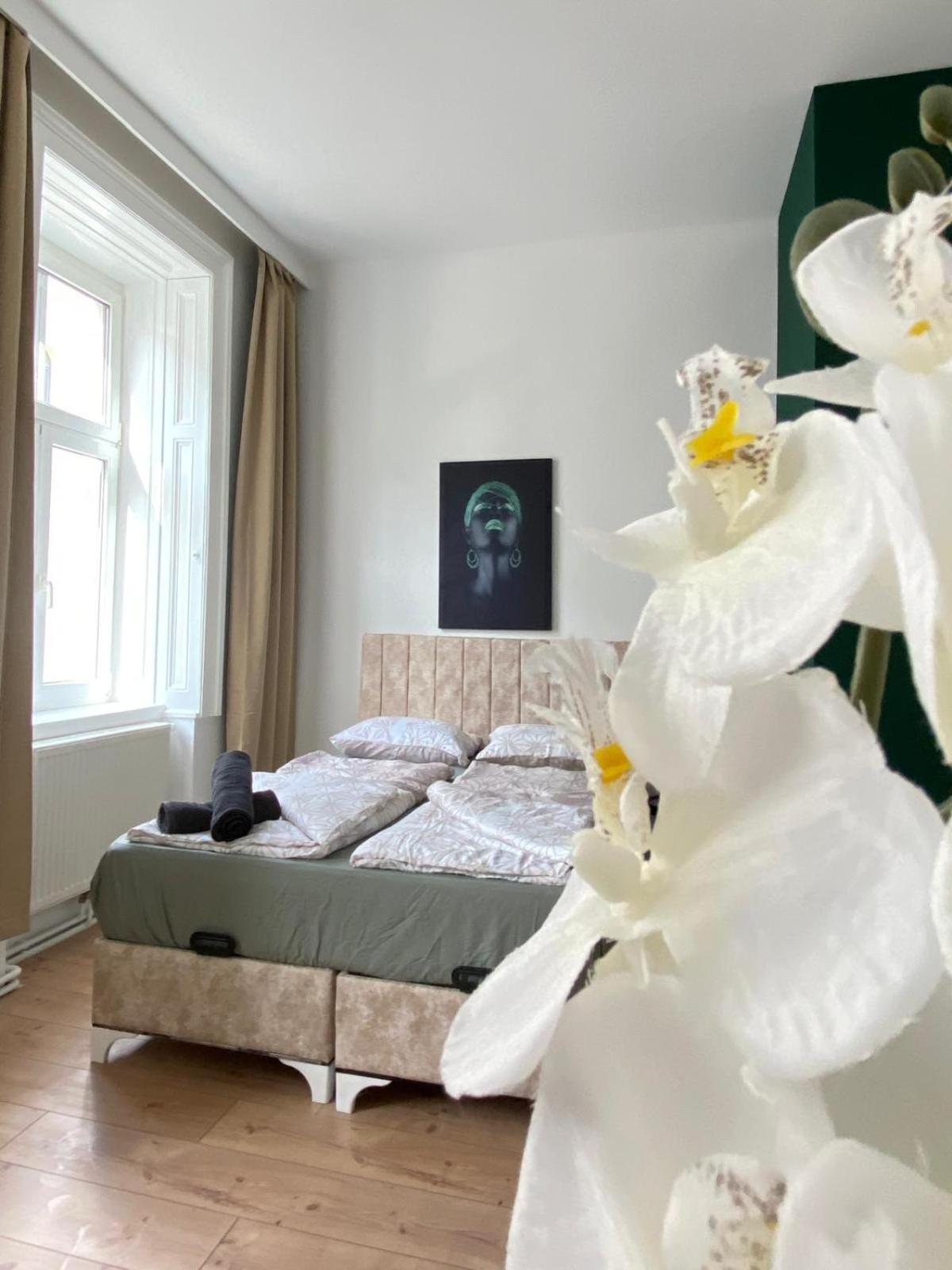 Apartment 8 Fully Equipped Shared W Terrace Margareten